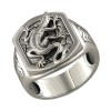 Серебряное кольцо 95010034